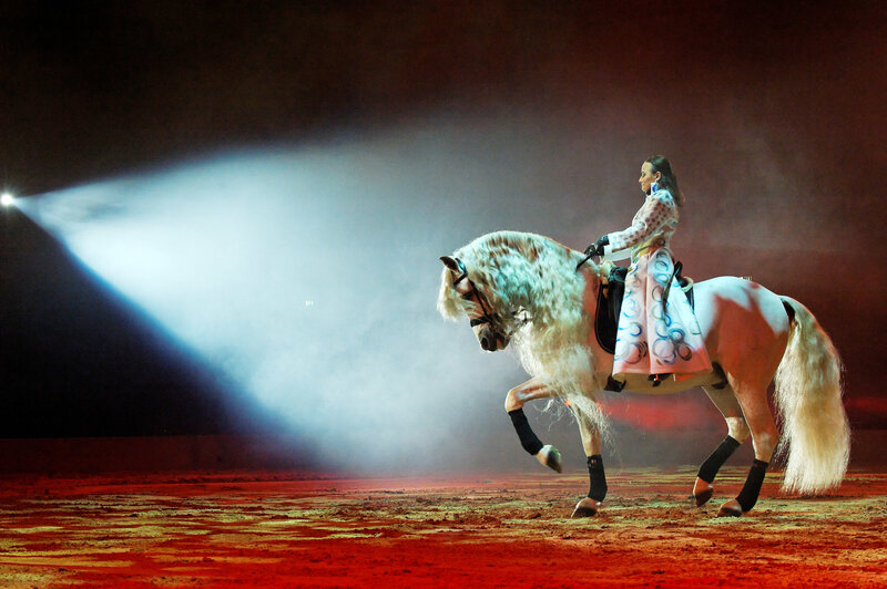 Woman Riding a Horse — White, Dramatic