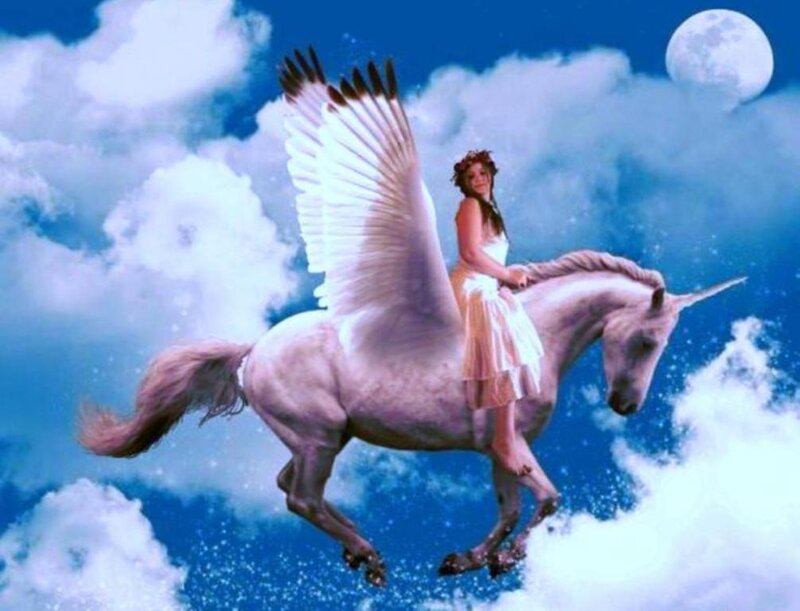 woman riding a winged unicorn