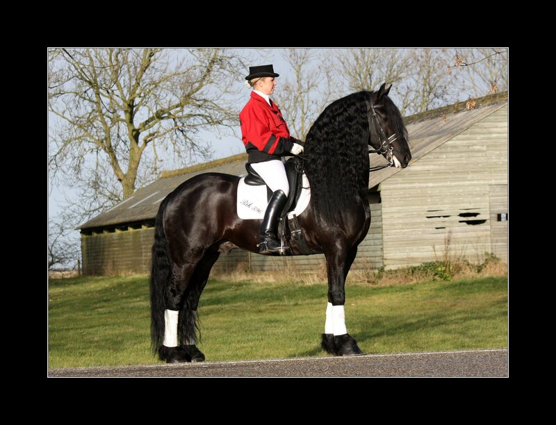 Woman Riding Black Horse — Calm, Afternoon, Photograph
