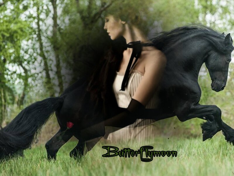 Woman Riding Black Horse — Dramatic, Afternoon