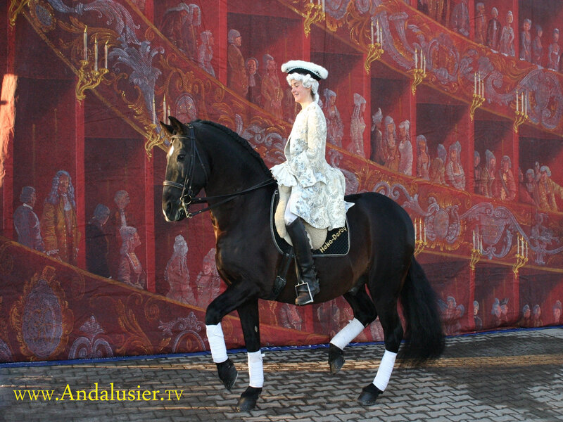 Woman Riding Black Horse — Formal