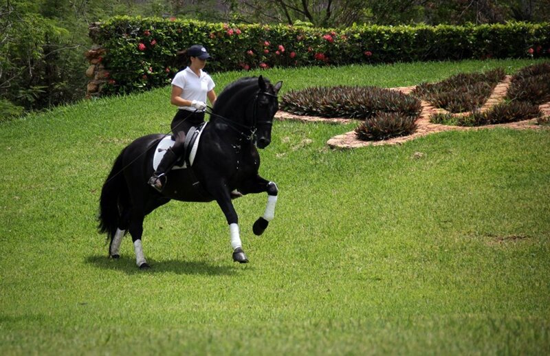 Woman Riding Black Horse — Green, Calm, Afternoon
