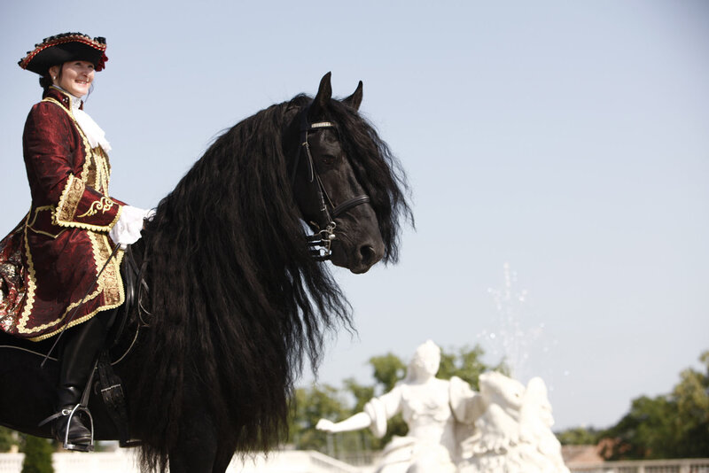 Woman Riding Black Horse — Serene