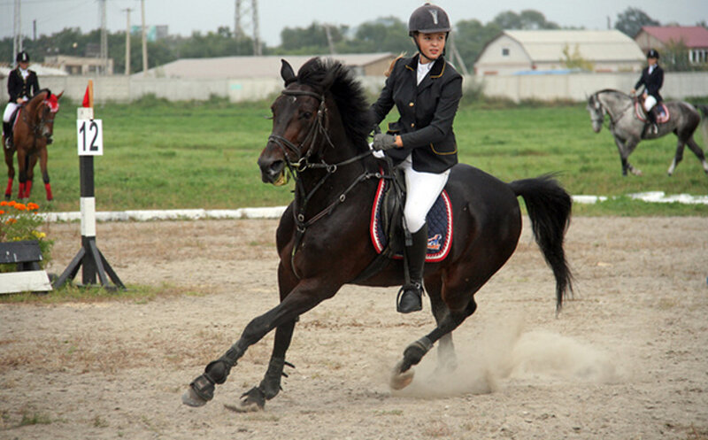 Woman Riding Dark Horse