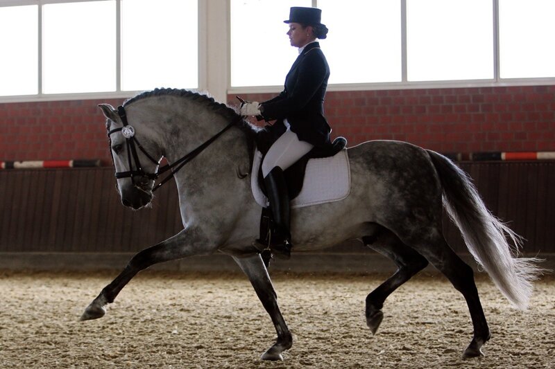 Woman Riding Grey Horse
