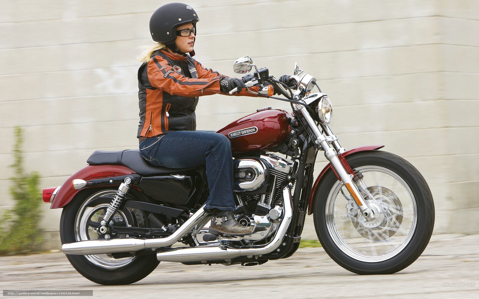 woman riding harley-davidson motorcycle