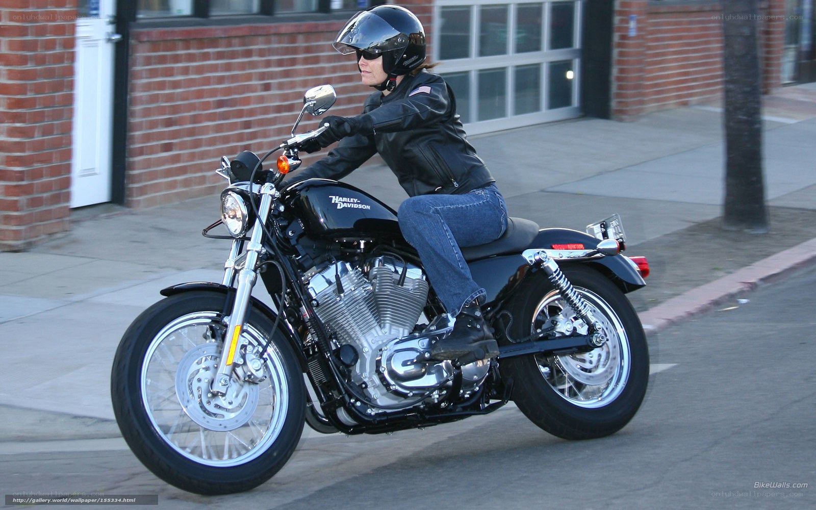 woman riding harley-davidson motorcycle
