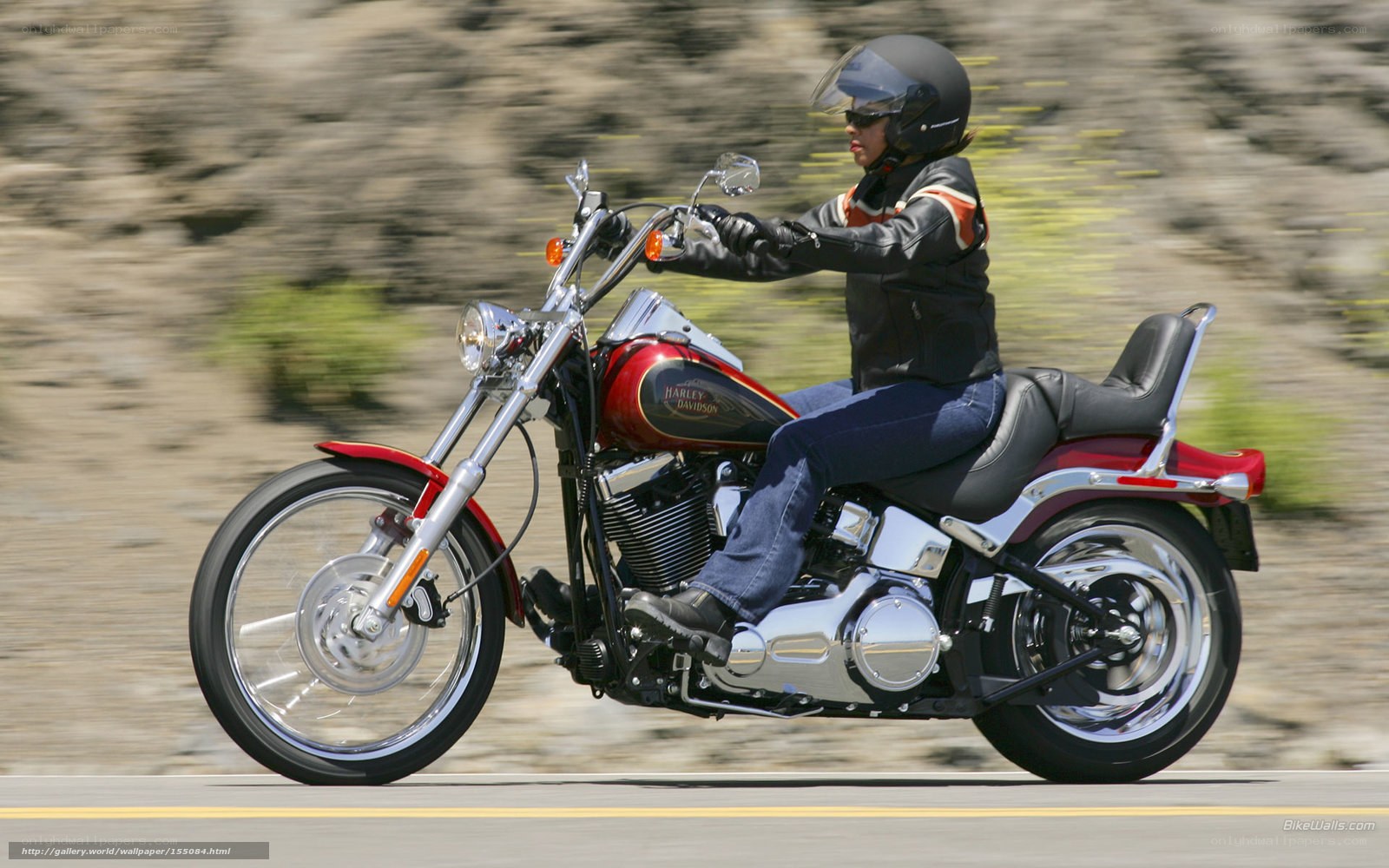 woman riding harley-davidson motorcycle