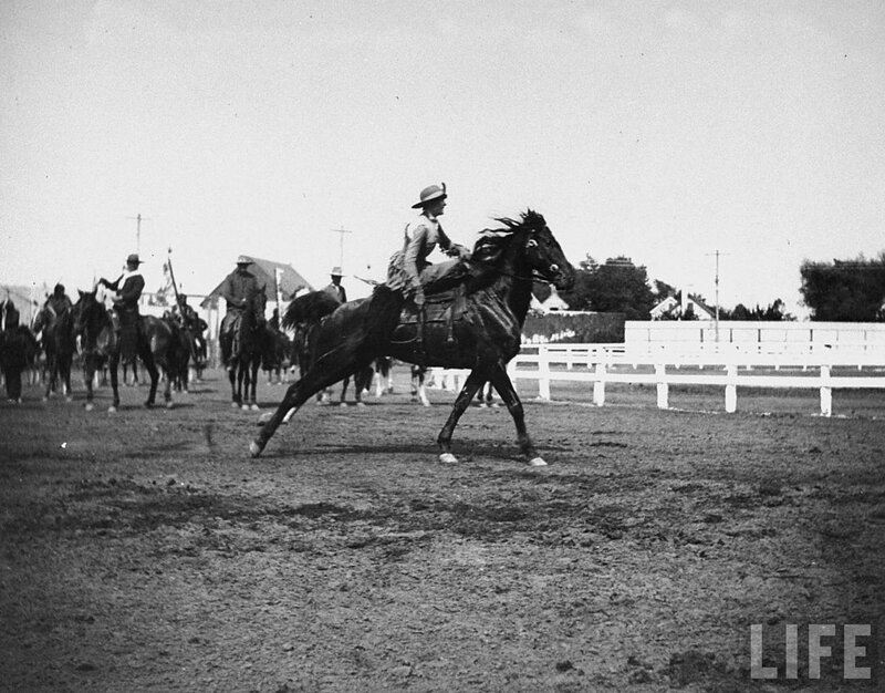 Woman riding horse at event