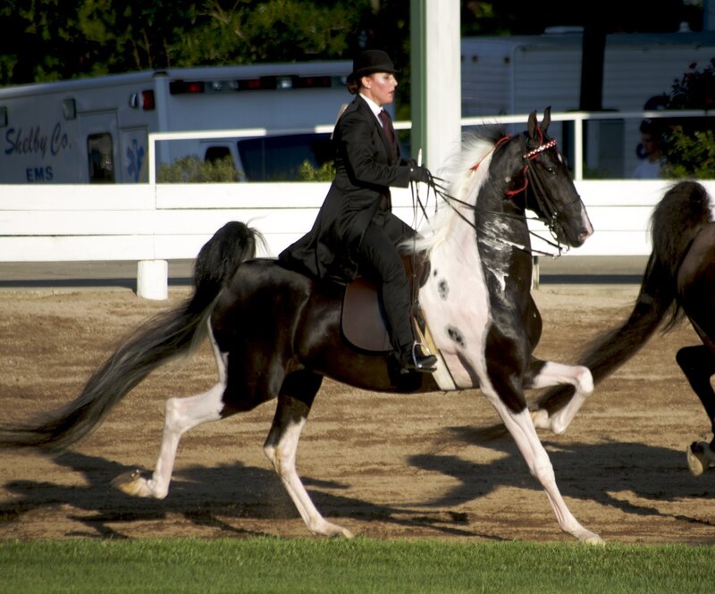 Woman Riding Horse — Black