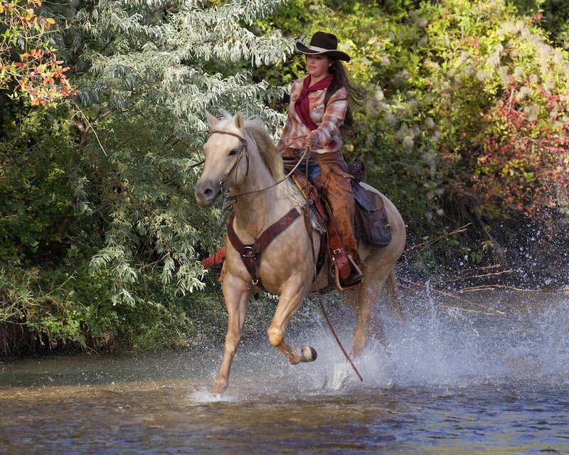 Woman Riding Horse — Brown, Active, Afternoon, Photograph, River, Trees