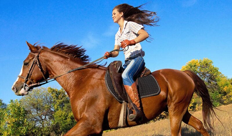 Woman Riding Horse — Brown, Active, Afternoon, Photograph, Saddle