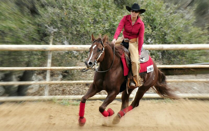 Woman Riding Horse — Brown, Active, Afternoon, Photograph