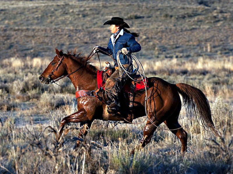 Woman Riding Horse — Brown, Active, Afternoon