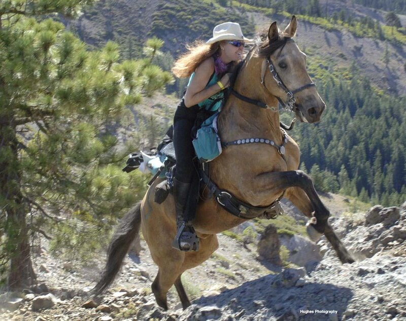 Woman Riding Horse — Brown, Active