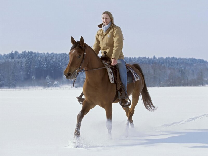 Woman Riding Horse — Brown, Calm