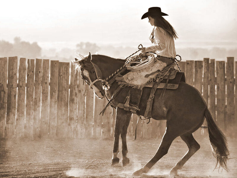 Woman Riding Horse — Brown, Dramatic