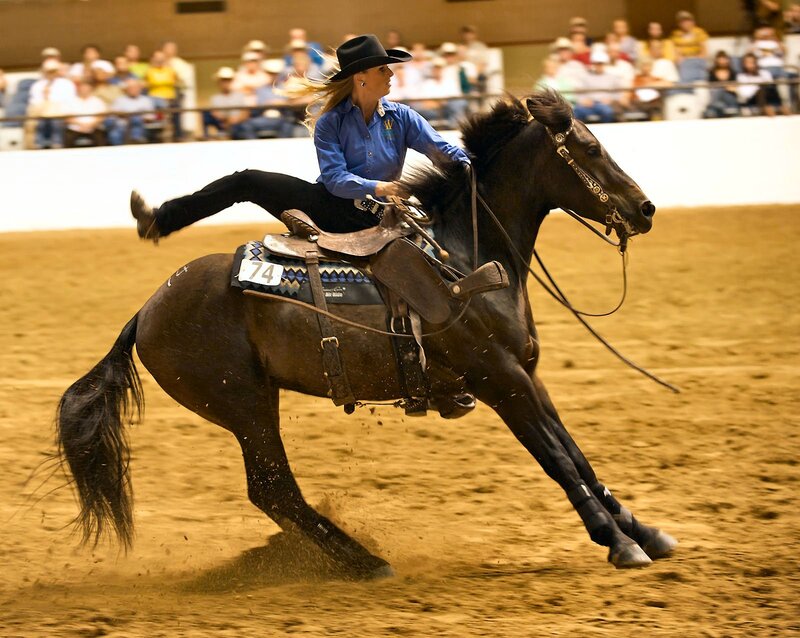 Woman Riding Horse — Brown, Dynamic, Photograph, Cowboy Hat, Saddle