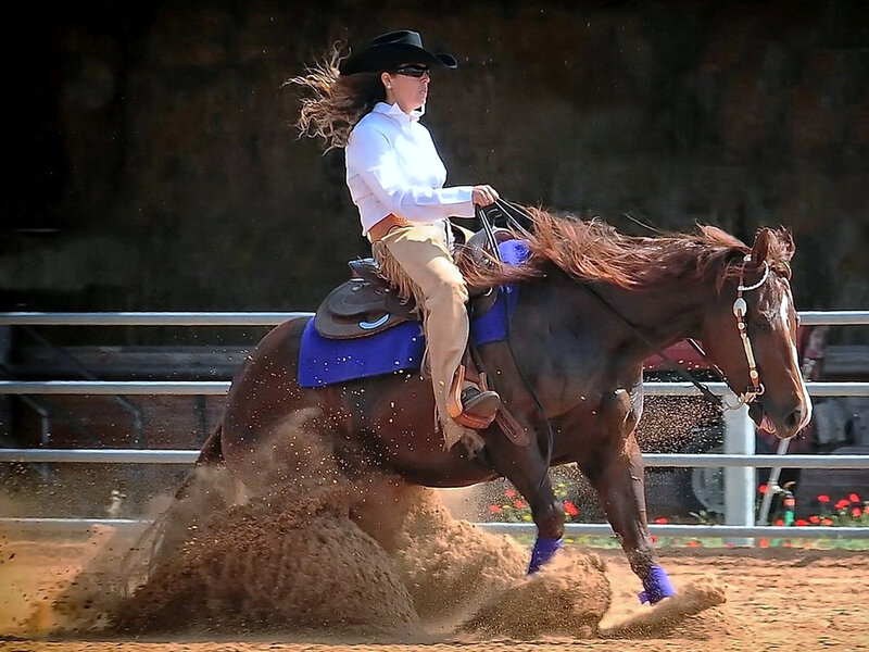 Woman Riding Horse — Brown, Dynamic