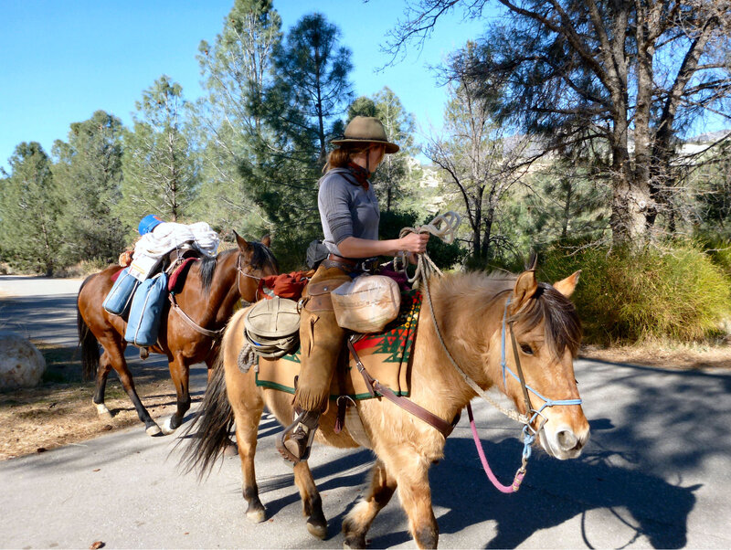 Woman Riding Horse — Brown, Serene, Afternoon, Photograph, Pack Animal