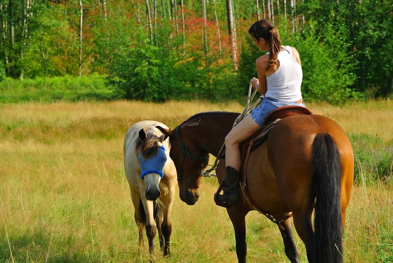 Woman Riding Horse — Green, Serene, Afternoon