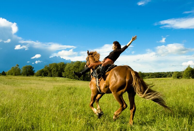Woman riding horse in field