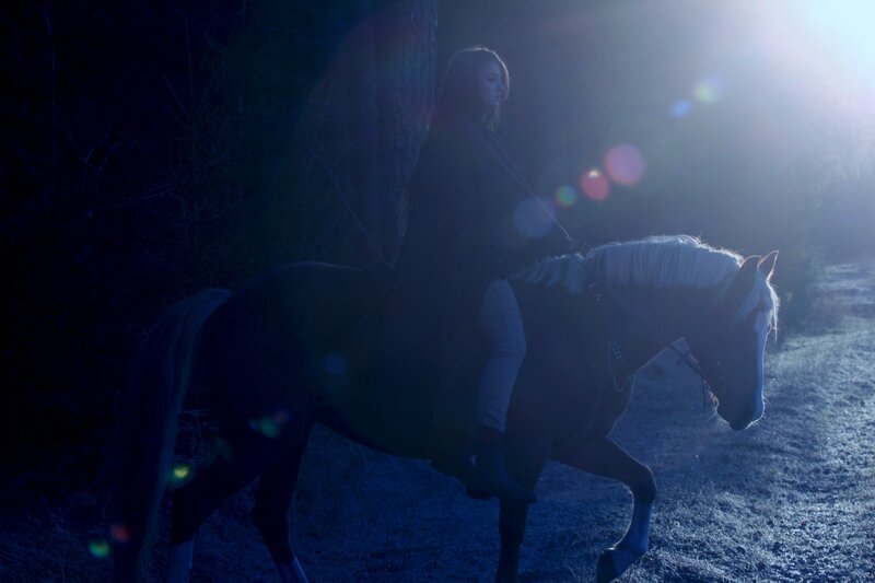 woman riding horse in forest