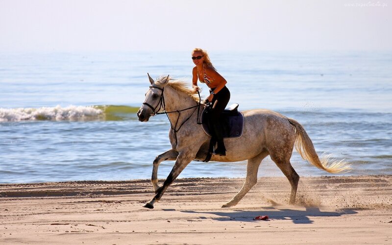Woman riding horse on beach