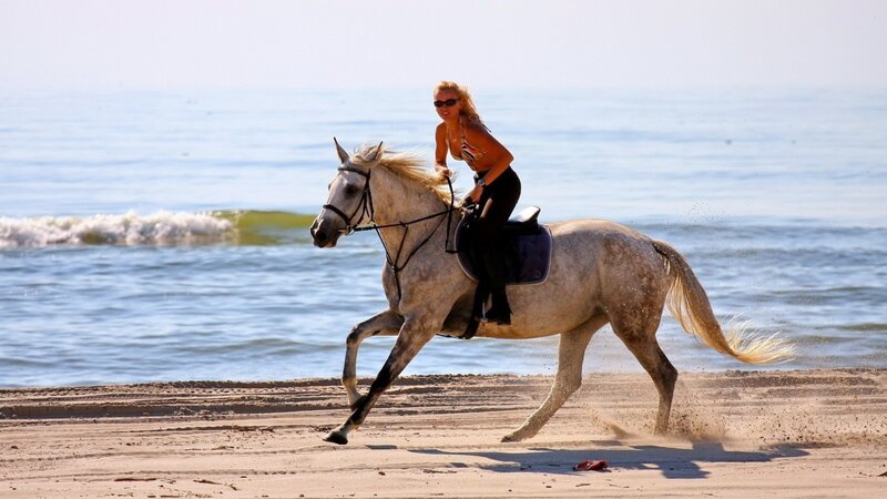 Woman riding horse on beach