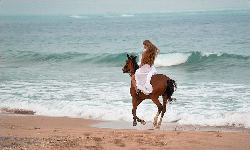 Woman Riding Horse on Beach — Brown