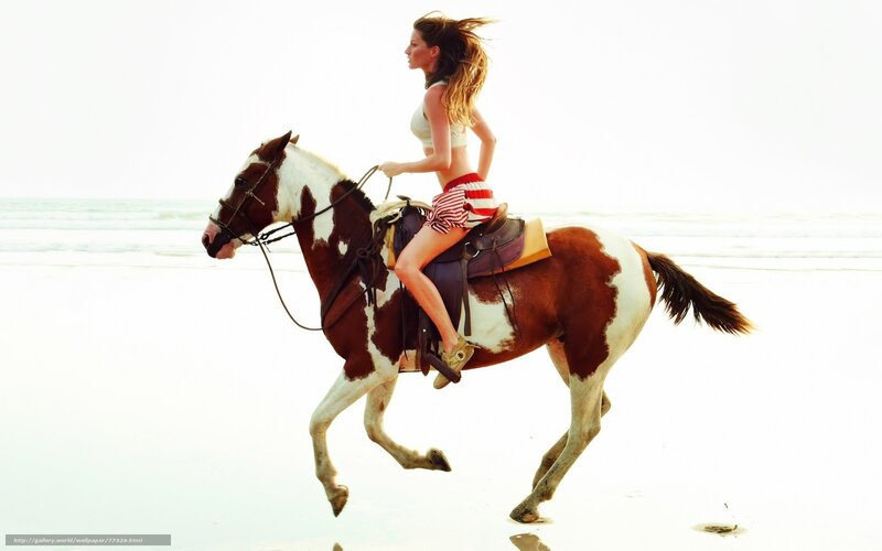 woman riding horse on beach