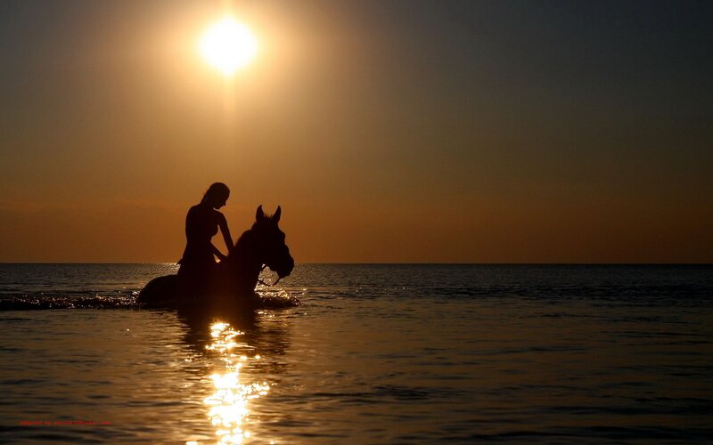 Woman Riding Horse — Orange