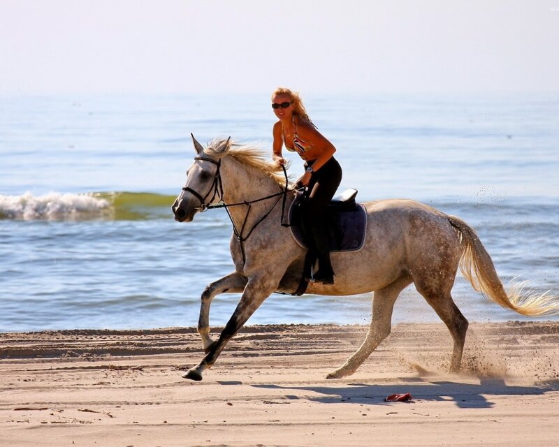 Woman Riding Horse — White, Active, Afternoon