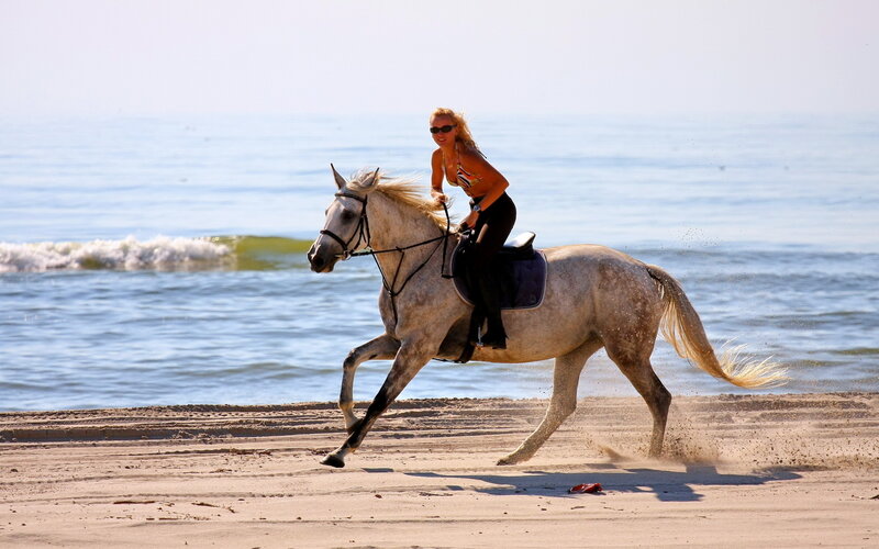 Woman Riding Horse — White, Active