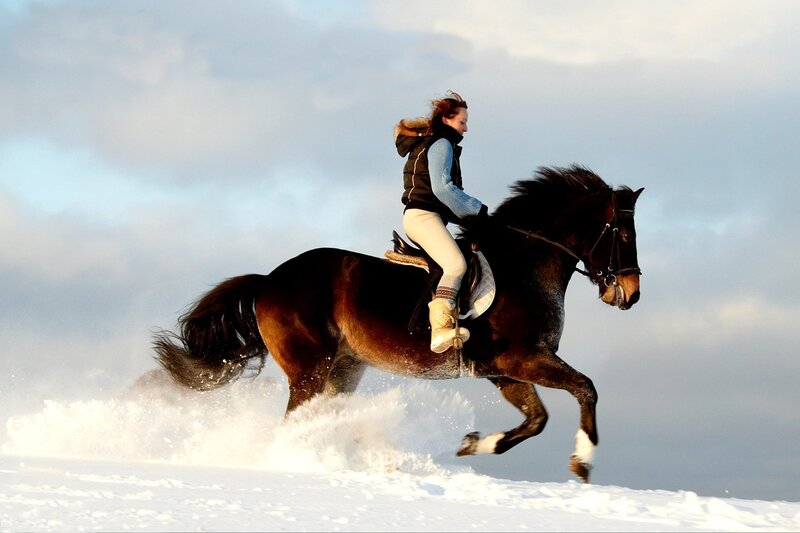 Woman Riding Horse — White, Dynamic