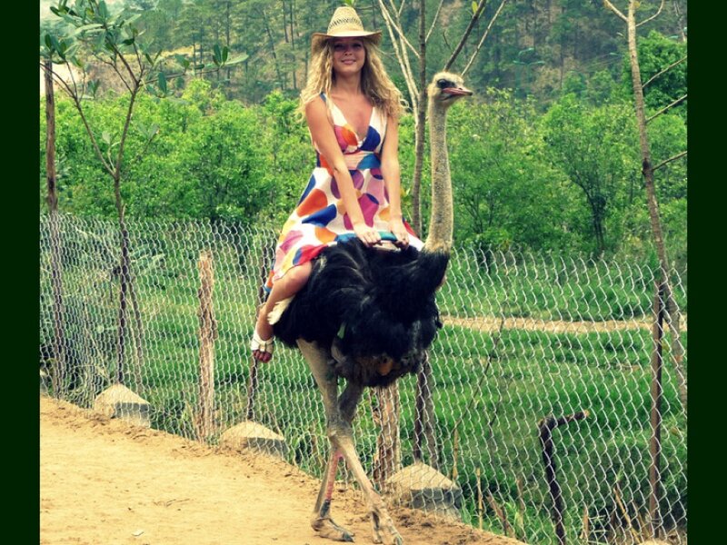 Woman Riding Ostrich
