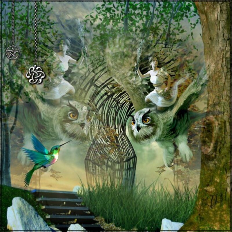 Woman Riding Owl