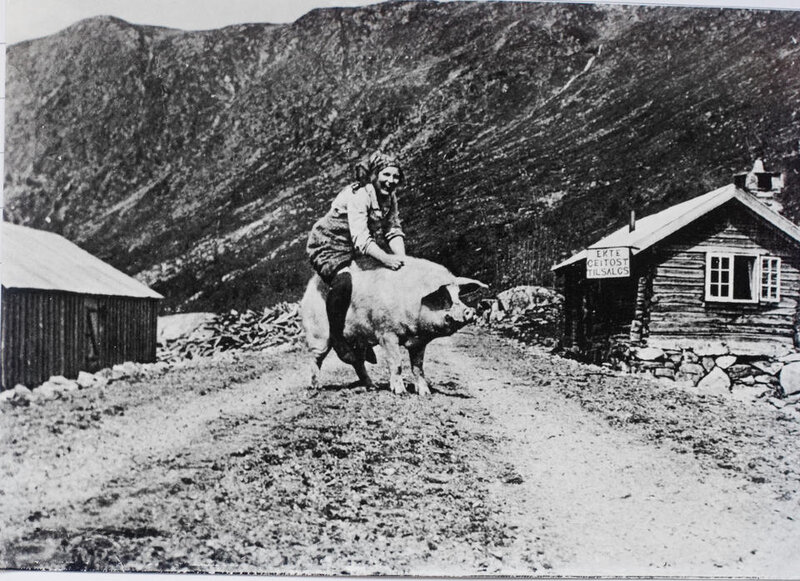 Woman Riding Pig