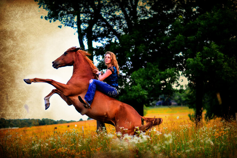 Woman Riding Rearing Horse — Brown, Dramatic