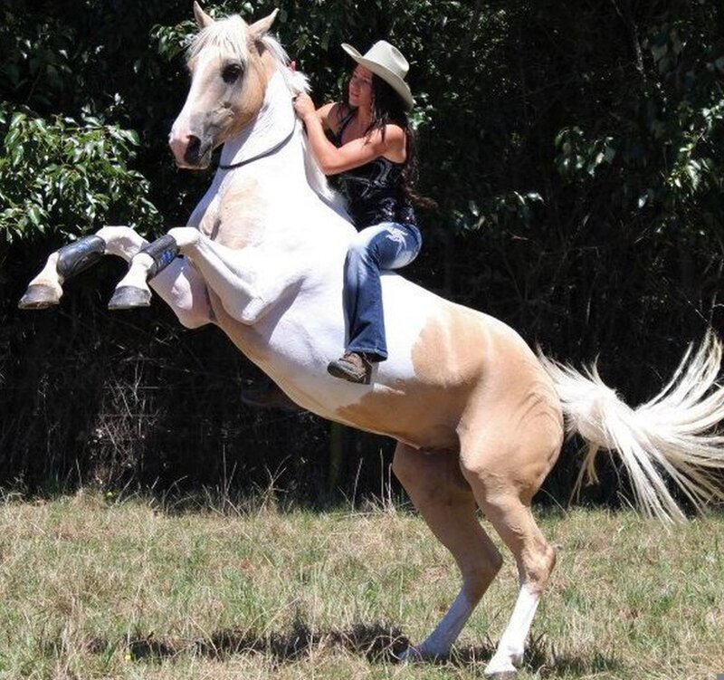 Woman Riding Rearing Horse — White