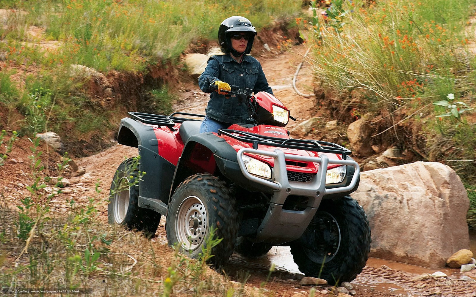Woman riding red ATV on trail
