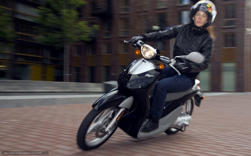 Woman Riding Scooter — Black, Dynamic