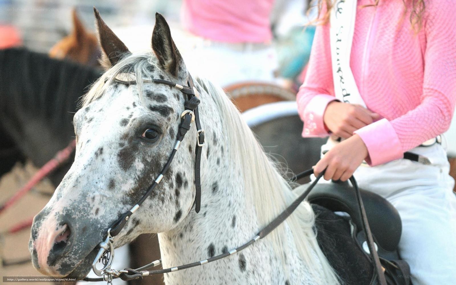 woman riding spotted horse