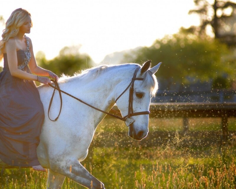 woman riding white horse