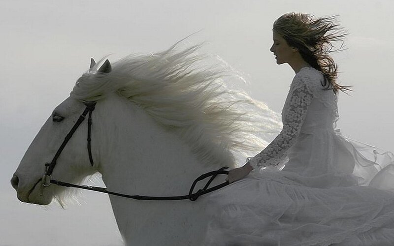 woman riding white horse
