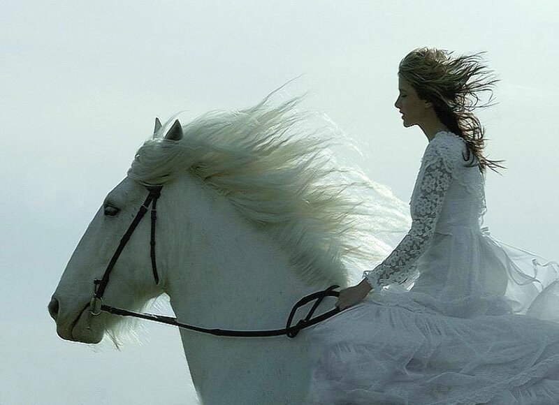 woman riding white horse