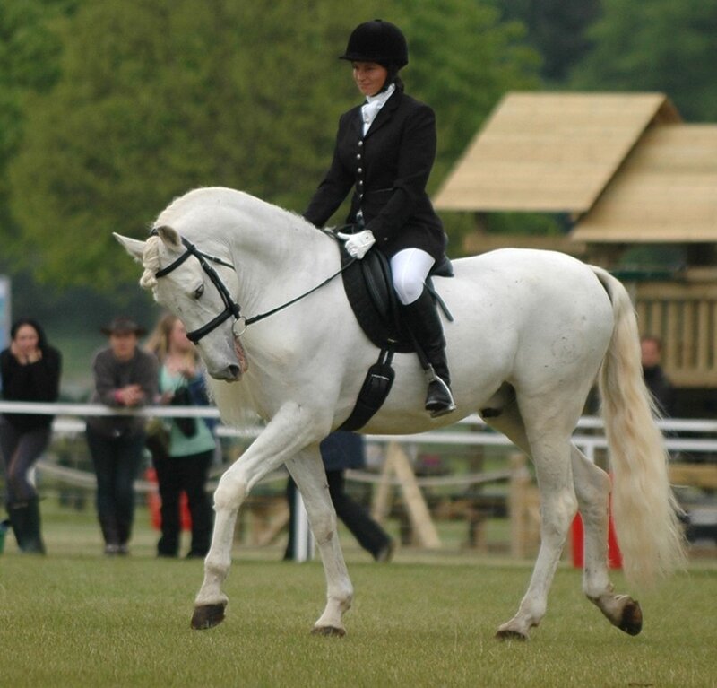 Woman Riding White Horse — Calm