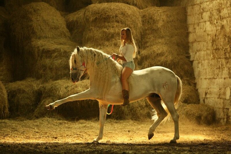 Woman Riding White Horse — Dramatic, Afternoon