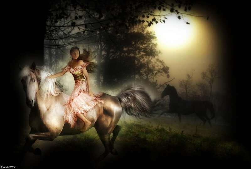 Woman Riding White Horse — Dramatic, Night, Digital Art
