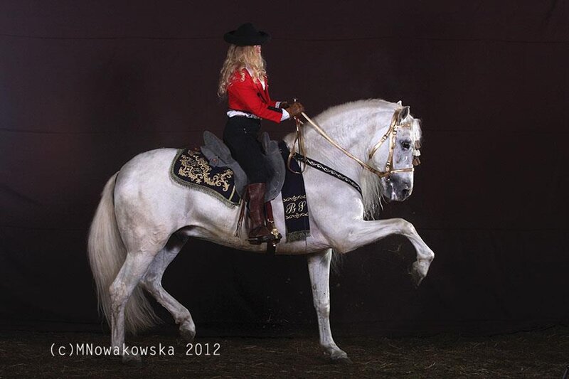 Woman Riding White Horse — Dramatic, Photograph